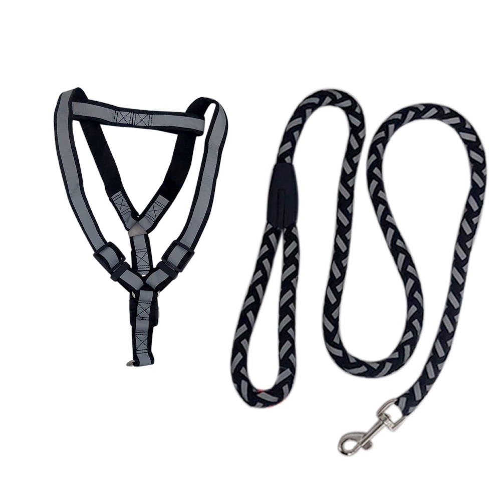 Correa para Perro con Pechera