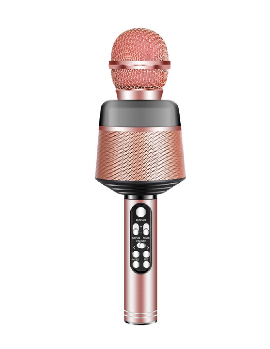 Micrófono Speaker Con Altavoz Bluetooth Karaoke Música Fm
